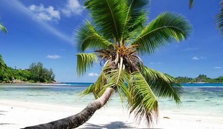 Svadba na Seychelách