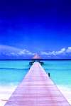 Blue-Lagoon.jpeg